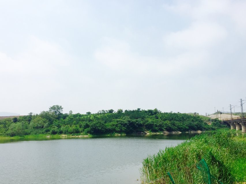 世俱杯中国有限公司官网