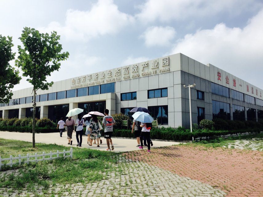 世俱杯中国有限公司官网