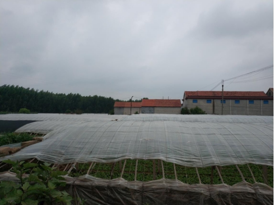 世俱杯中国有限公司官网