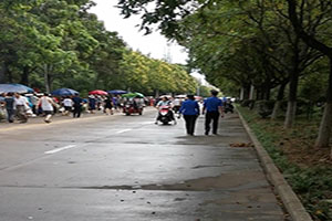 太阳成集团tyc234cc古天乐