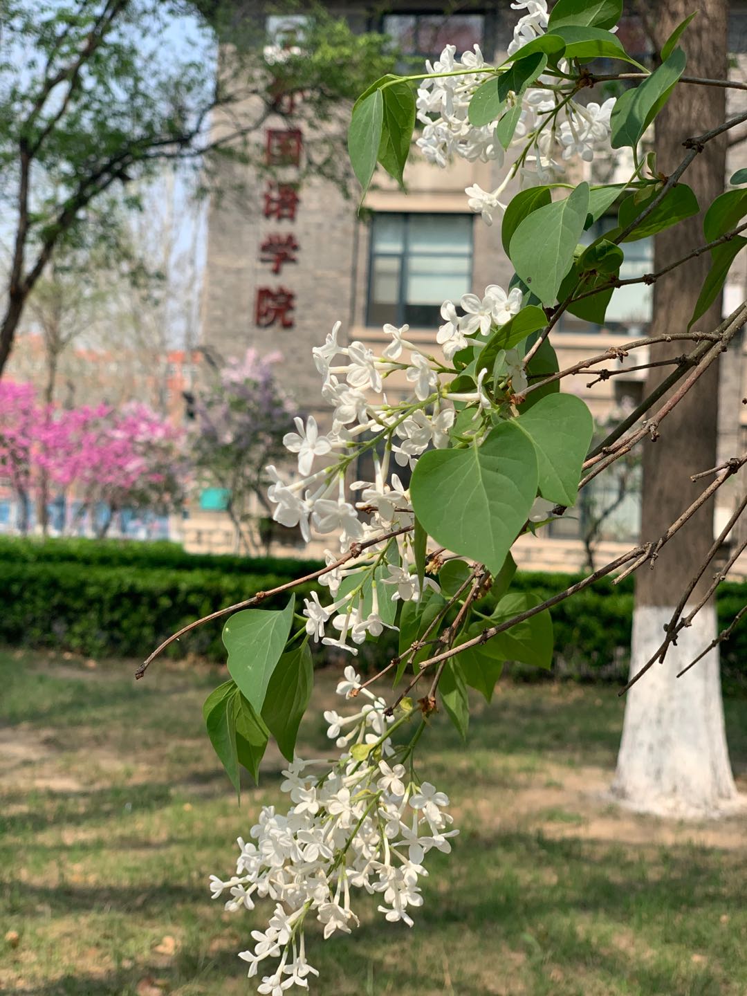 世俱杯中国有限公司官网