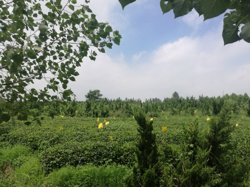 世俱杯中国有限公司官网