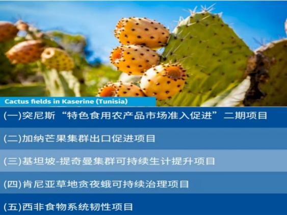 太阳成集团tyc234cc古天乐