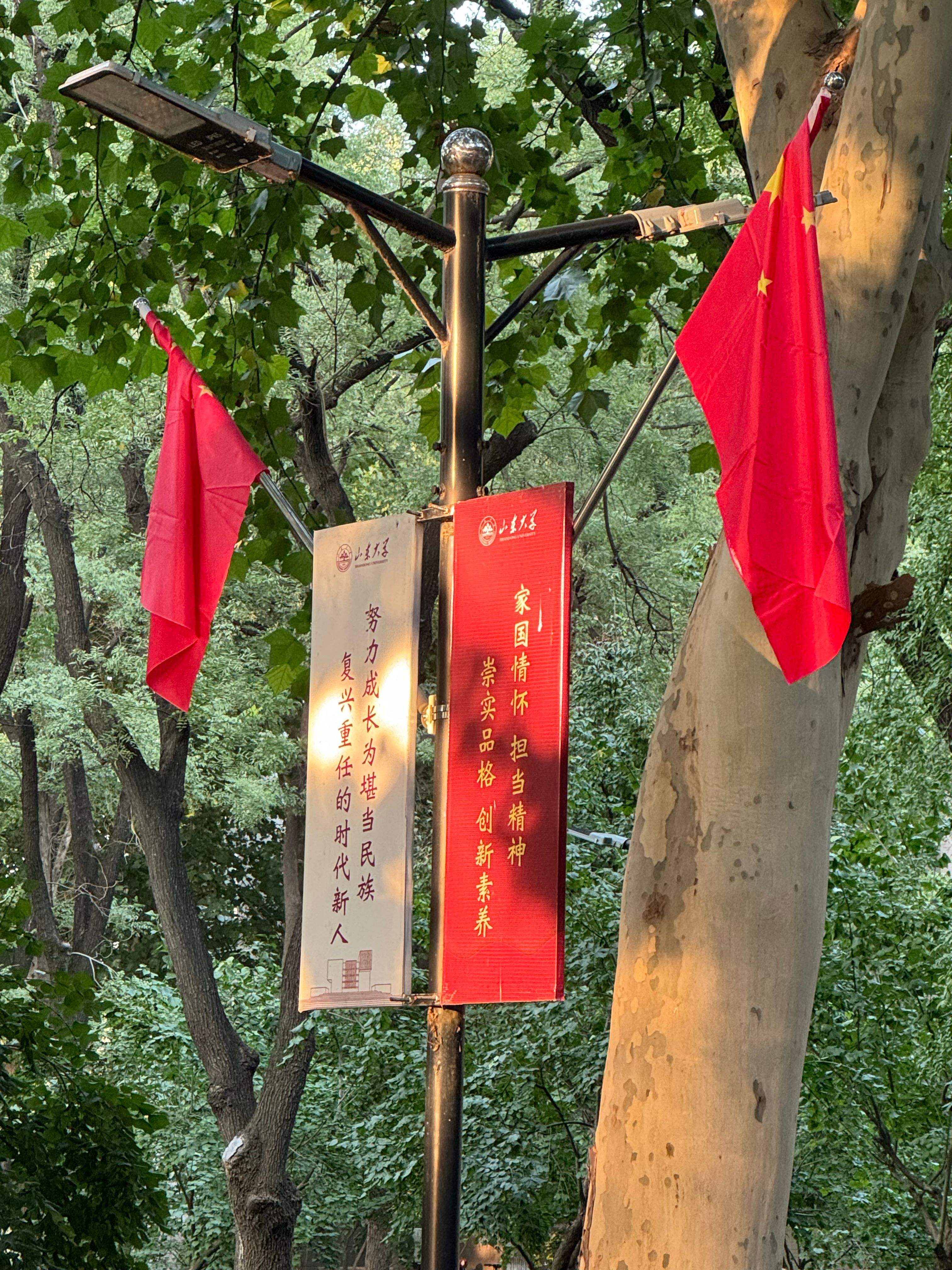 世俱杯中国有限公司官网