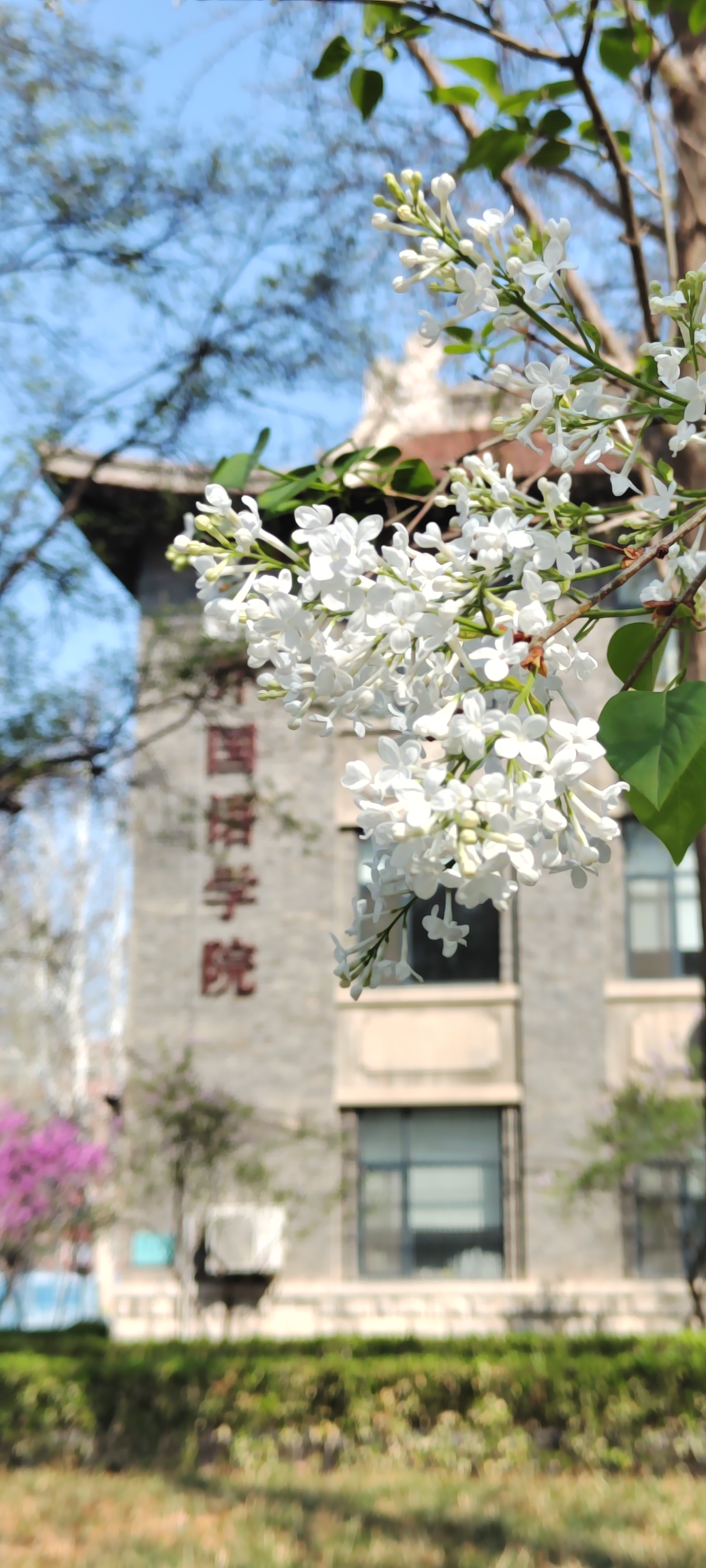 世俱杯中国有限公司官网